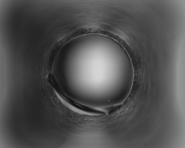 X0000088660967200705251519