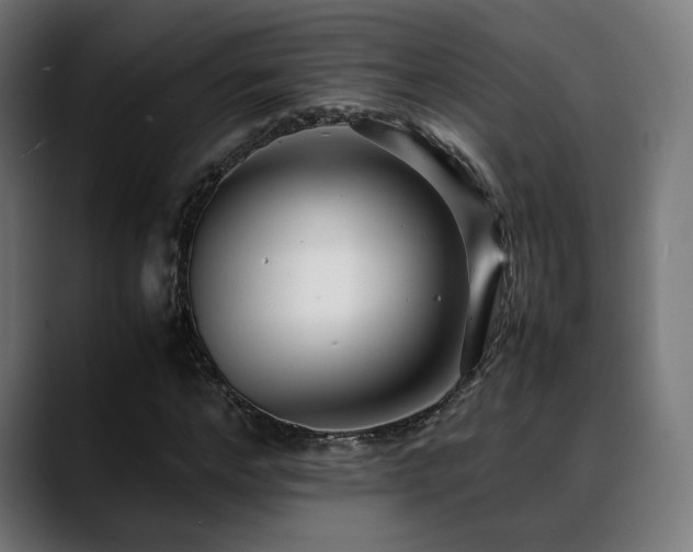 X0000088660968200705251519