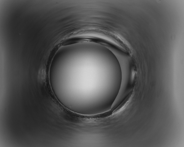 X0000088660969200705251519