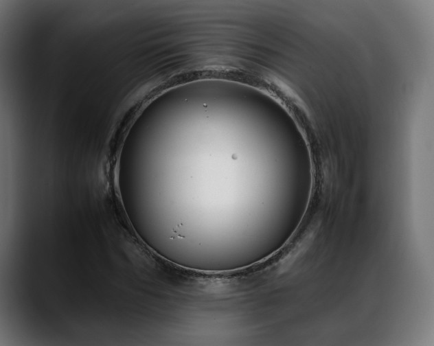 X0000088660970200705251519