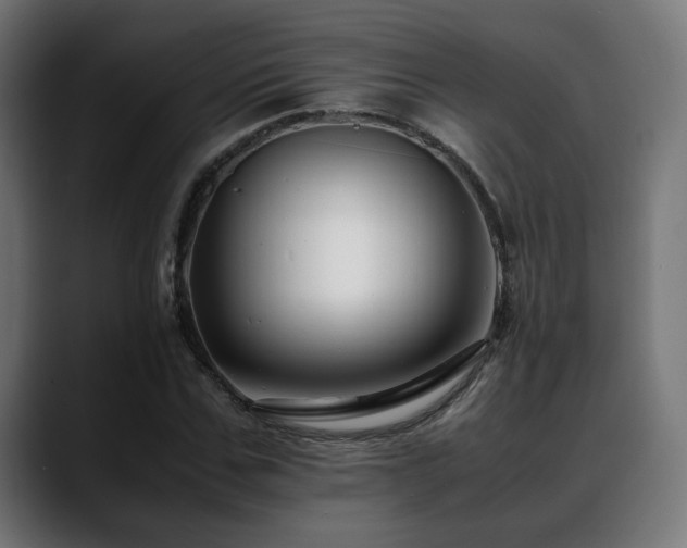 X0000088660971200705251519