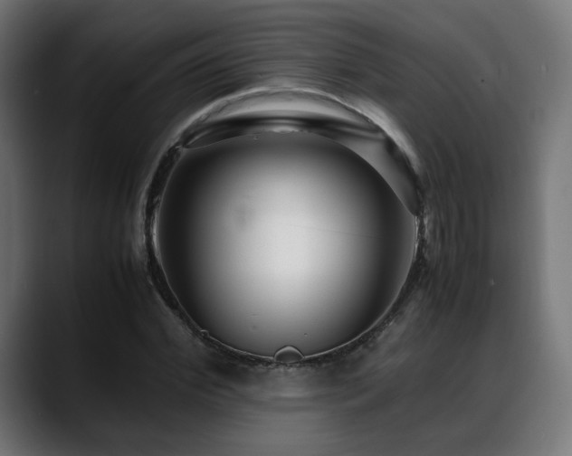 X0000088660972200705251519