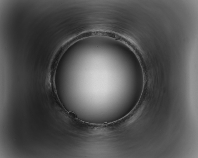 X0000088660974200705251519