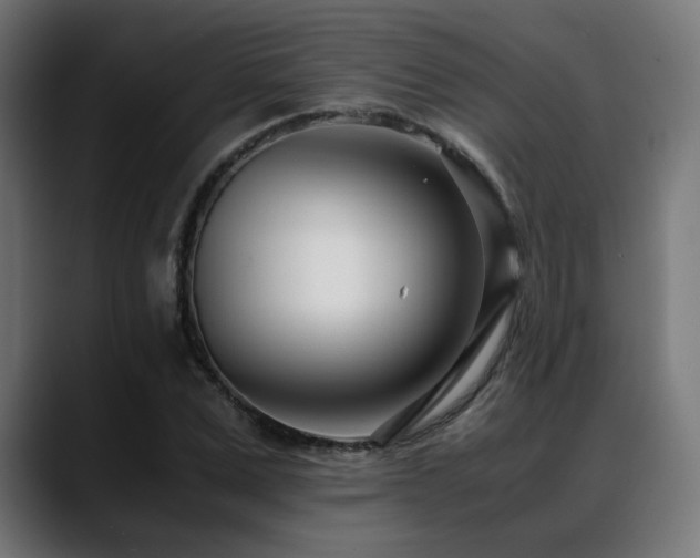 X0000088660975200705251519