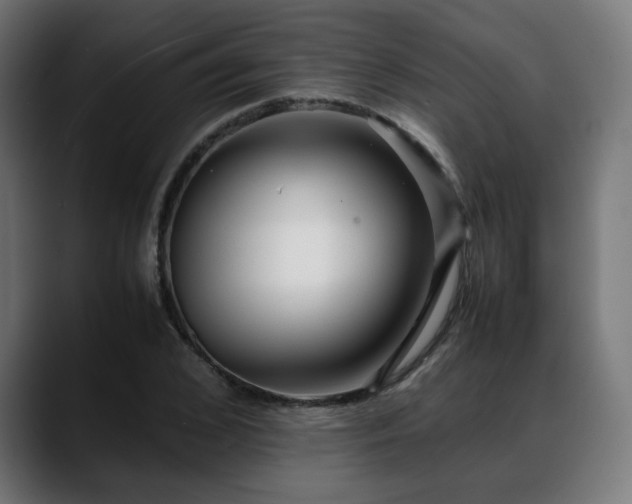 X0000088660976200705251519