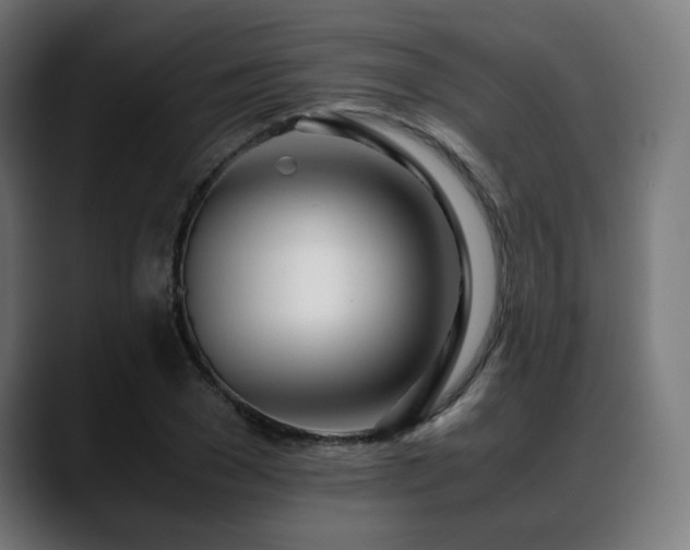 X0000088660977200705251519