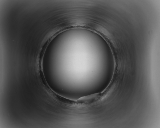 X0000088660978200705251519