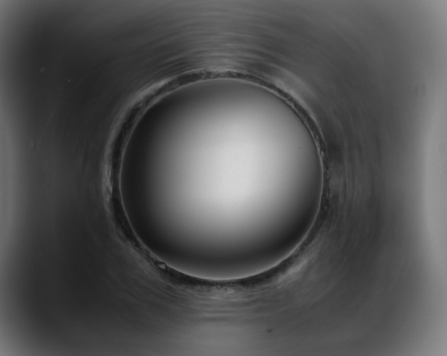 X0000088660979200705251519