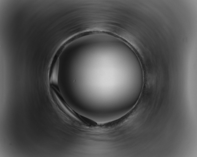 X0000088660980200705251519