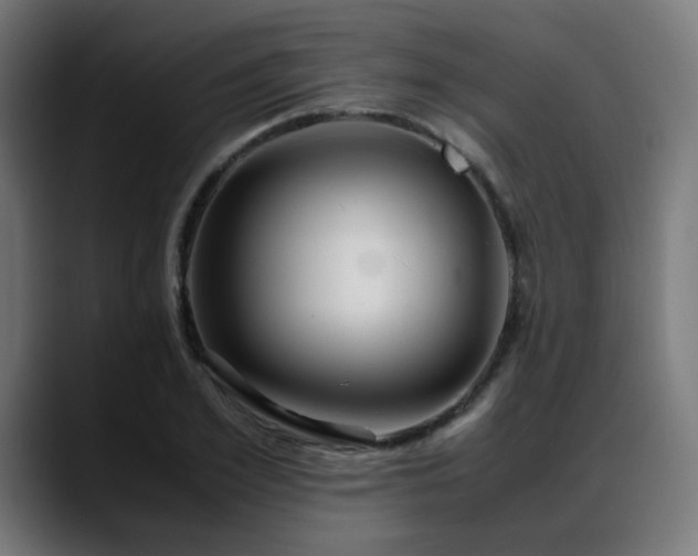 X0000088660981200705251519