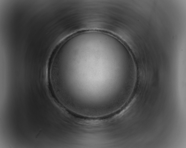 X0000088660982200705251519