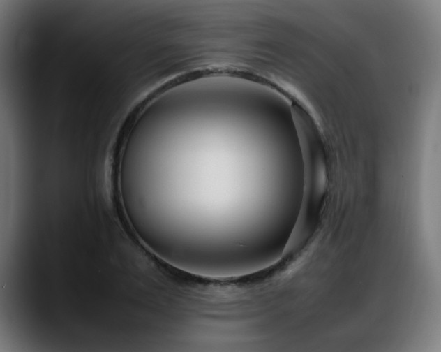 X0000088660983200705251519