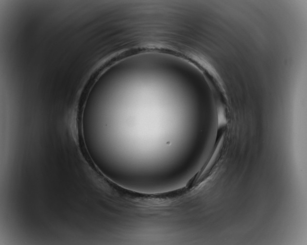 X0000088660984200705251519