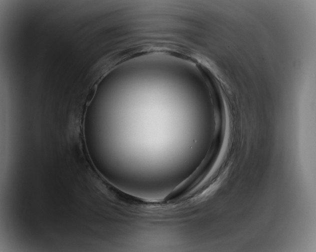 X0000088660985200705251519