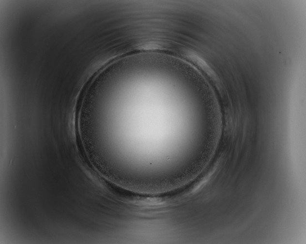 X0000088660986200705251519