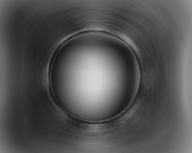 X0000088660988200705251519