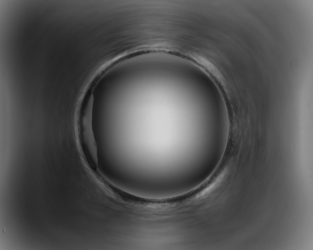 X0000088660989200705251519