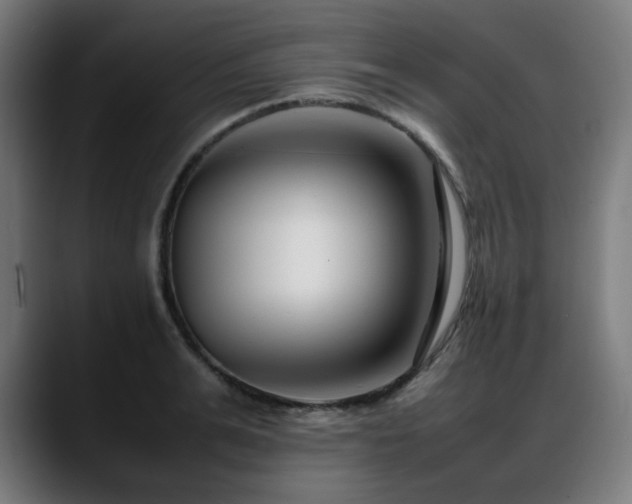 X0000088660991200705251519