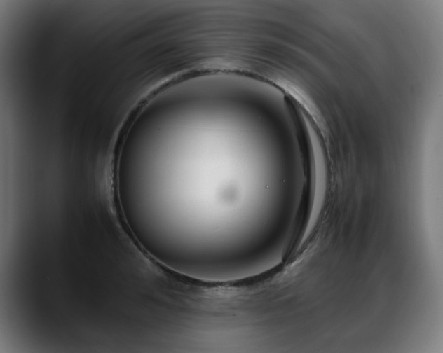 X0000088660992200705251518