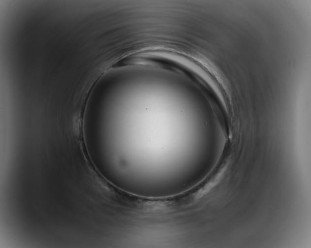 X0000088660993200705251518