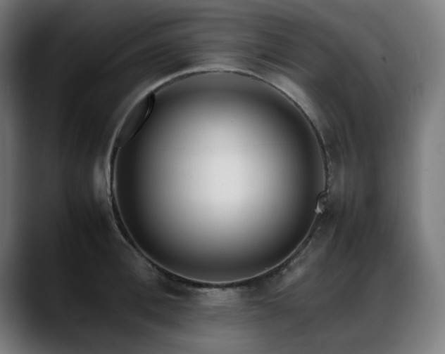 X0000088660996200705251518