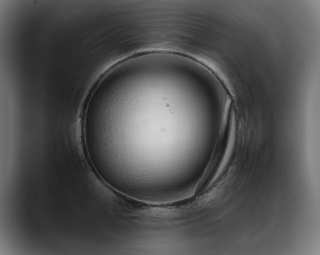 X0000088660998200705251518