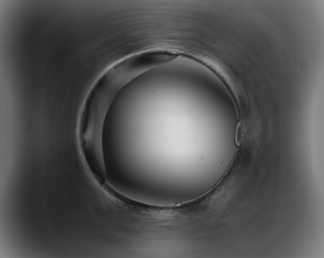 X0000088660999200705251518