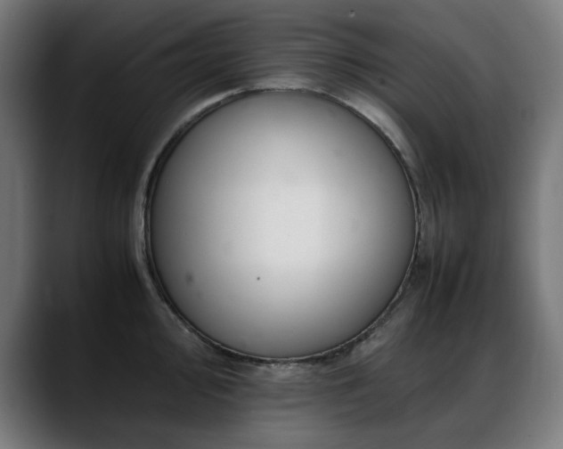 X0000088661000200705251518