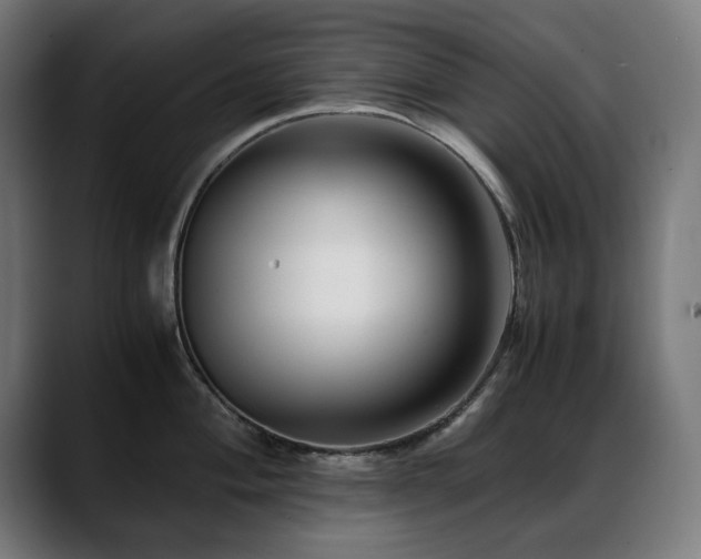 X0000088661004200705251518