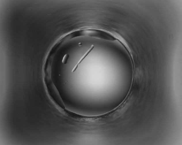 X0000088661005200705251518