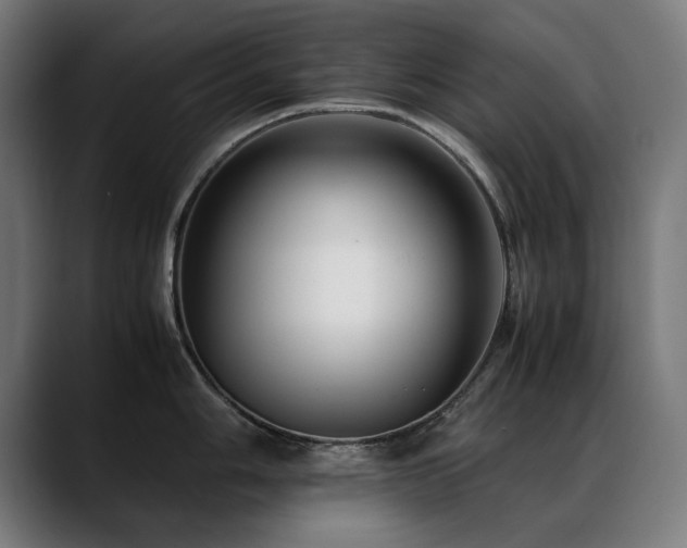 X0000088661006200705251518