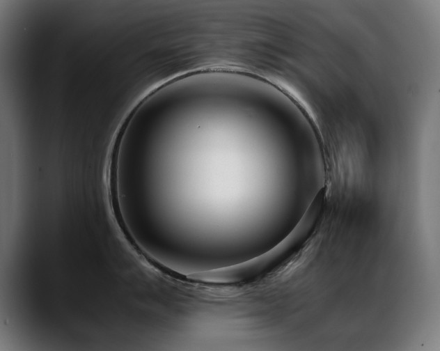 X0000088661007200705251518