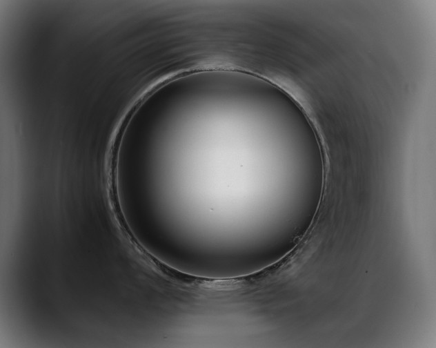 X0000088661008200705251518