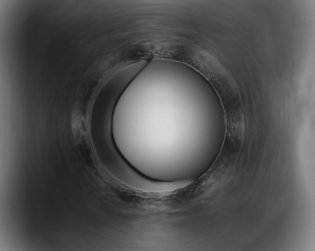 X0000088661010200705251518