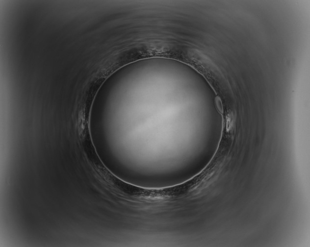 X0000088661011200705251518