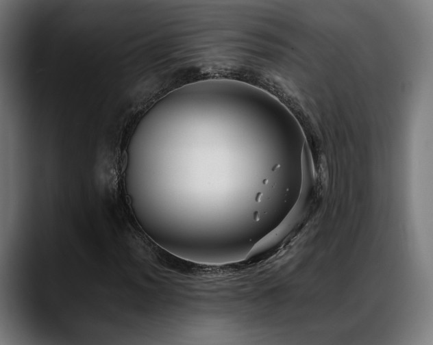 X0000088661012200705251518