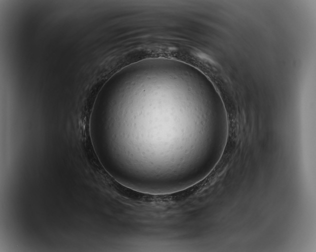 X0000088661013200705251518