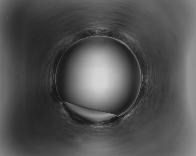 X0000088661014200705251518