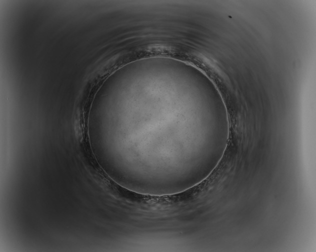 X0000088661015200705251518