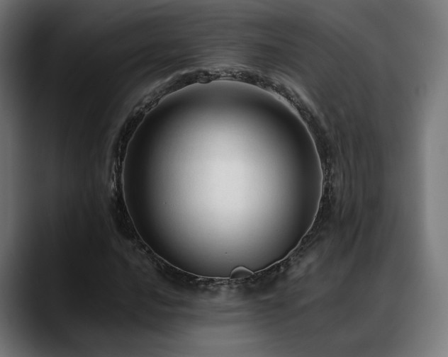 X0000088661016200705251518