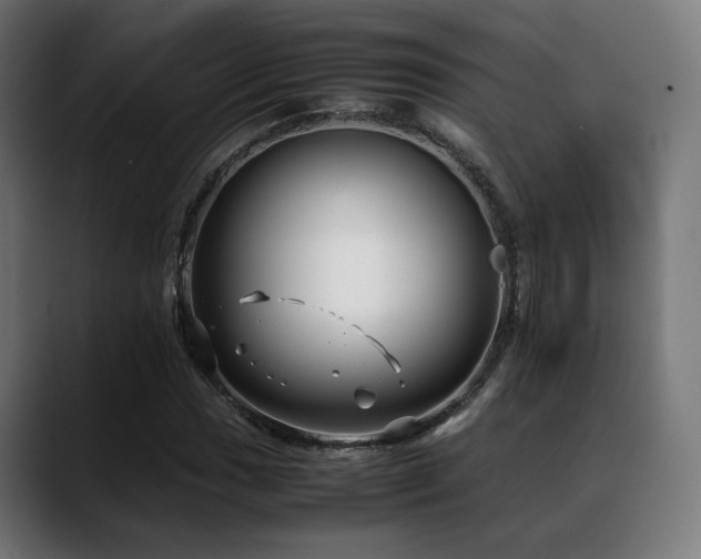 X0000088661017200705251518