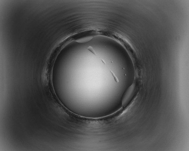 X0000088661018200705251518