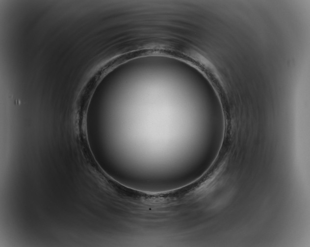 X0000088661019200705251518