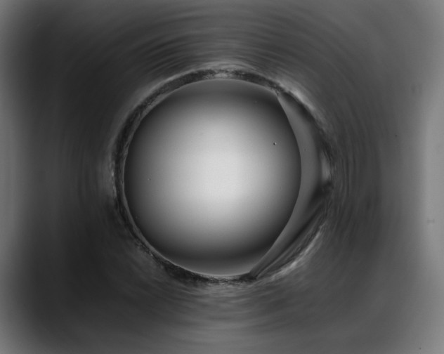 X0000088661022200705251518