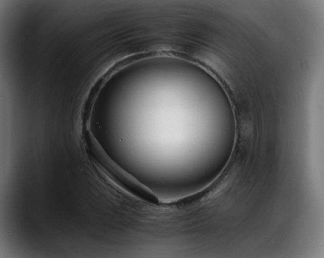 X0000088661023200705251518