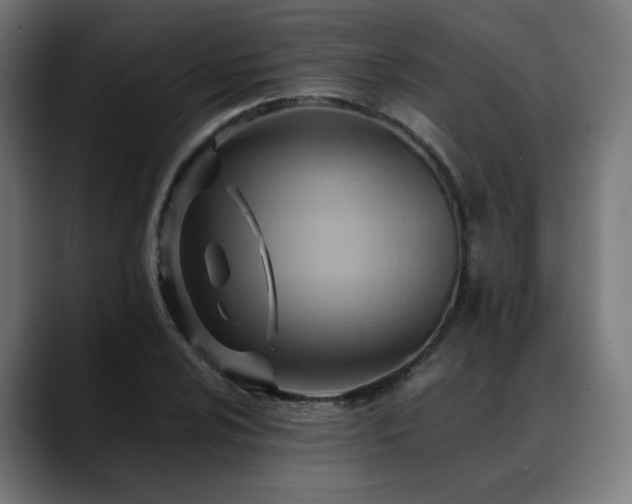 X0000088661024200705251518