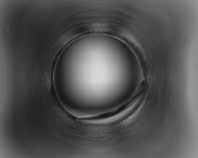 X0000088661025200705251518