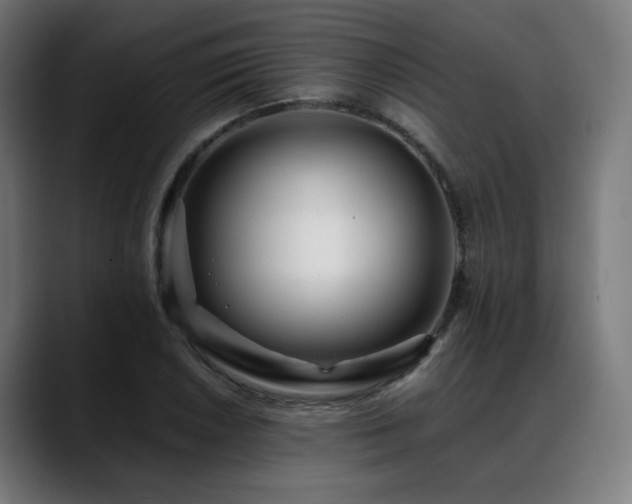 X0000088661026200705251518