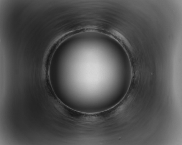 X0000088661027200705251518