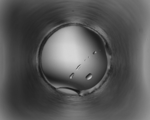 X0000088661028200705251518